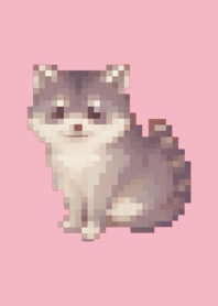 Raccoon Pixel Art Theme  Pink 05