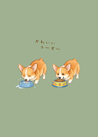 我養的可愛柯基犬(霧灰綠)