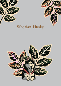 plants and siberian husky on beige&gray