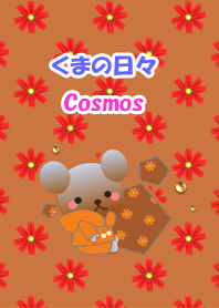 Bear daily<Cosmos>