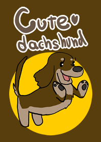 Cute dachshund