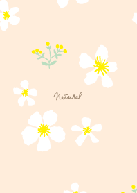 yellow and white flowers17