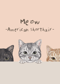 Meow ! - American Shorthair - SHELL PINK