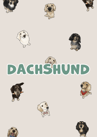dachshund6 / dark beige