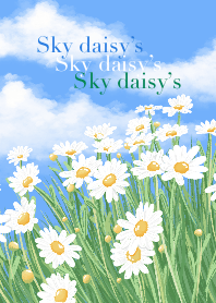 Sky Daisy