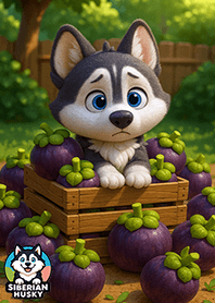 Siberian Husky : Hello, Saturday.