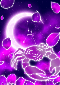 Purple Cherry Blossoms Cancer2025