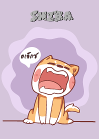 อเล็กซ์ ใครไม่บะ ชิบะ 4 V16