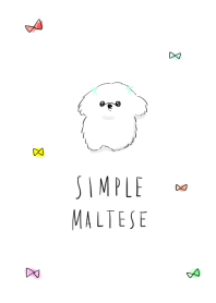 シンプル マルチーズ リボン