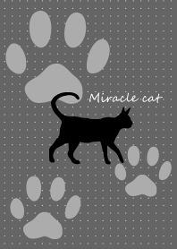 Miracle cat