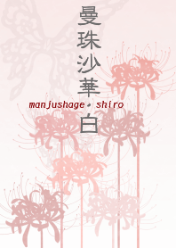 曼珠沙華・白