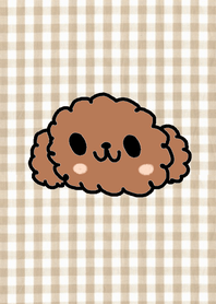 (toy poodle1)