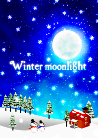 冬の月夜