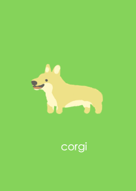 corgi dogs