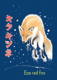 Ezo red fox