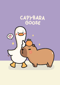Capybara with goose purple :)