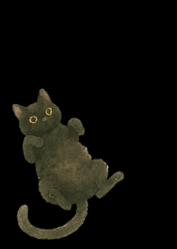 Relaxing black cat on black