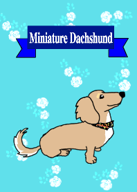元気なミニチュアダックスのクッキーくん