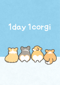 1corgi colors -Blue-