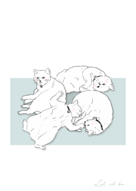宇宙の摂理を感じる猫