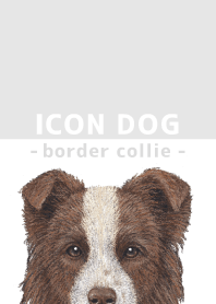 ICON DOG - Border Collie - GRAY/02