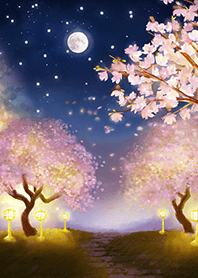 Beautiful night cherry blossoms#1839