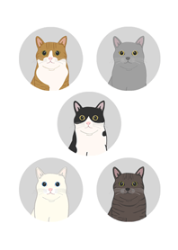 喵！喵！(純白色)