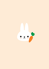 Animal : White Rabbit