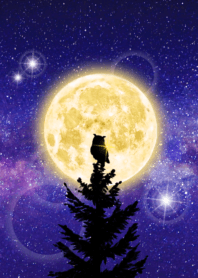 運気アップ♡黄金の満月と幸運を運ぶ梟