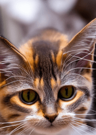 Nyanko Great Runaway#BPUX028.