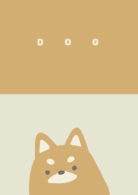 Shiba dogs