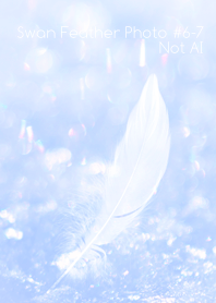 Swan Feather Photo #6-7Not AI
