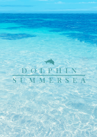 SUMMER SEA HAWAII 11 -BLUE DOLPHIN-