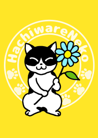 Cute cat Theme yellow