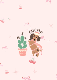Msr. Dachshund Sweet & Snug
