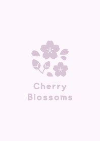 Cherry Blossoms1<PurplePink>