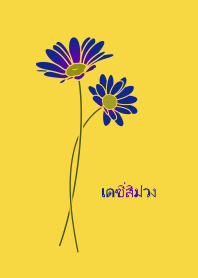 เดซี่สีม่วง