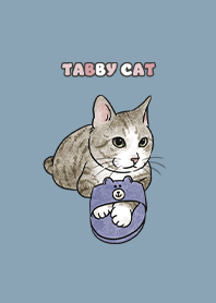 tabbycat6 / pale blue