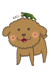 貴賓犬球球 - 簡單的可愛!