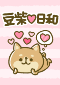 ほのぼの♡豆柴日和