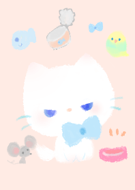 흰색 작은 새끼 고양이