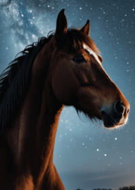 Auspicious Horse/Horses and Starry Sky