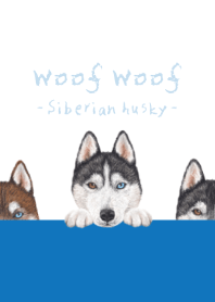 Woof Woof - Siberian husky - WHITE/BLUE