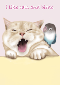 Cat and Bird.