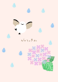 Long-tailed tit Hydrangea4 from Japan