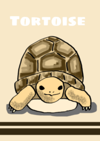 Tortoise illustrations theme No.1