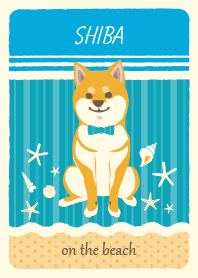 SHIBA on the beach!
