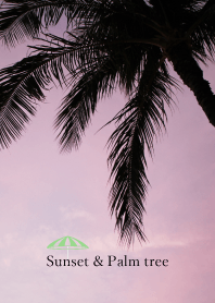 sunset and palm tree 20