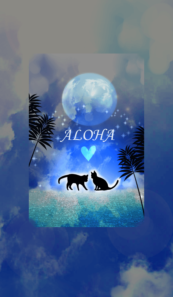 Happy Cat and Night Summer.