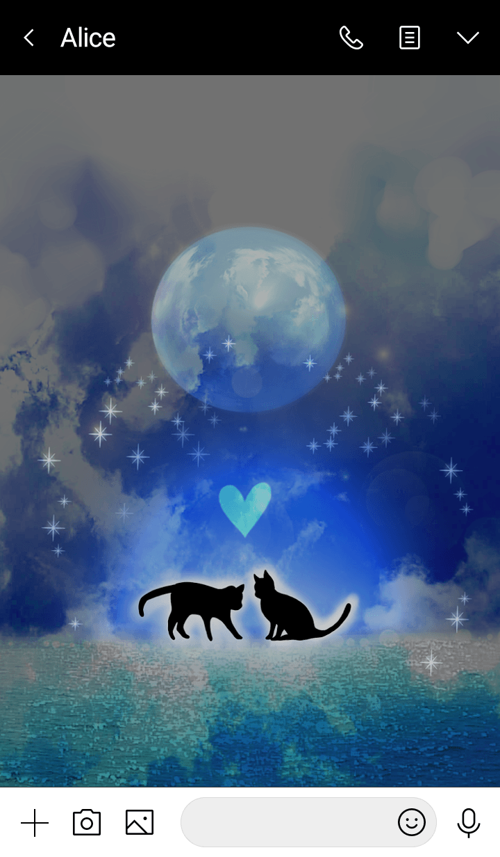 Happy Cat and Night Summer.
